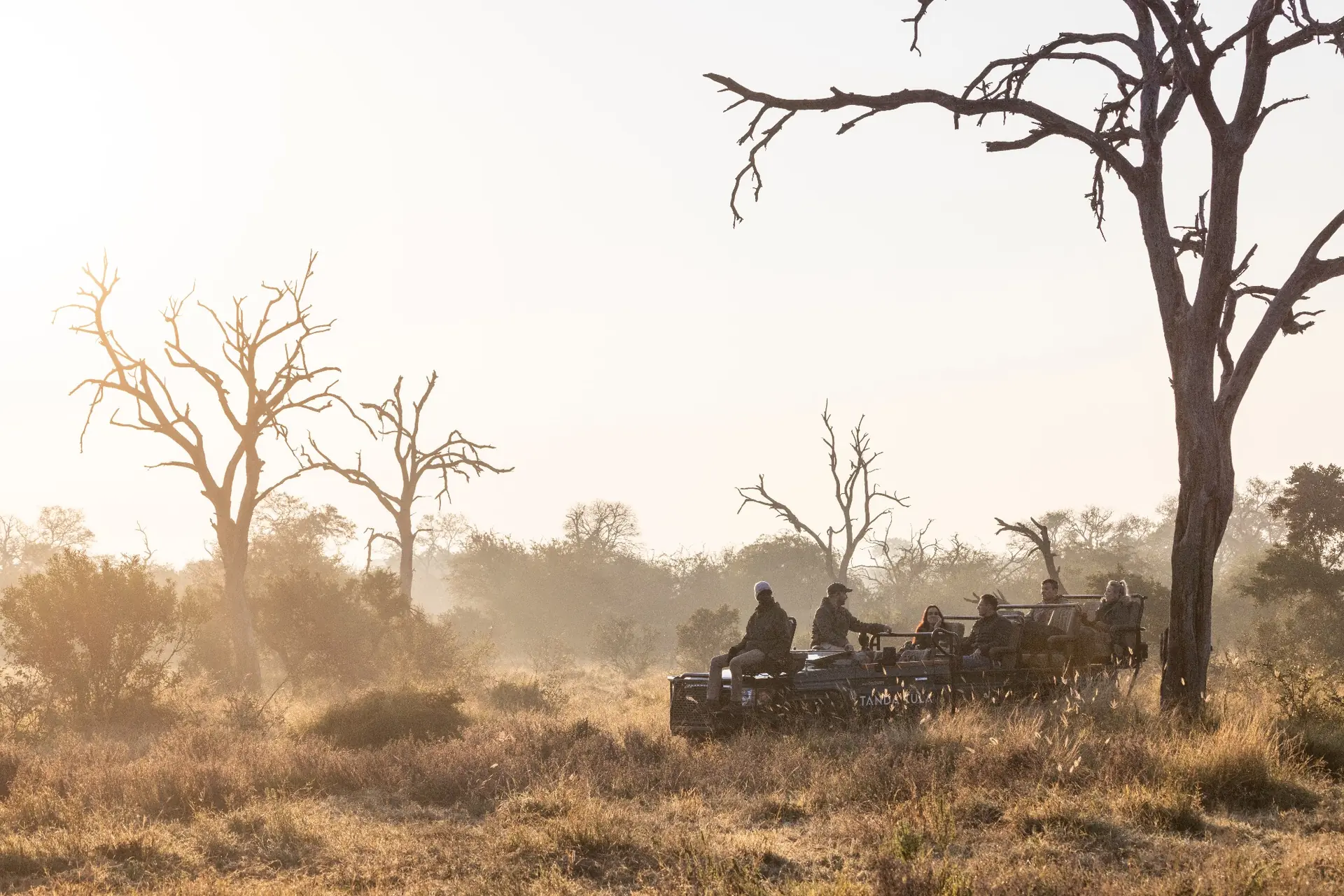 Guests on a golden-hour game drive at Tanda Tula