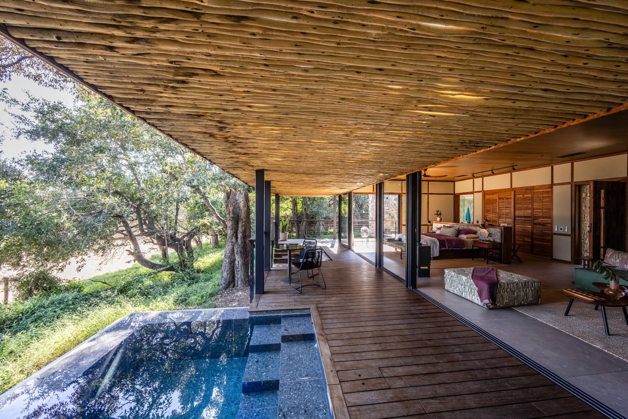A serene lodge suite opening onto a pool and the African bush