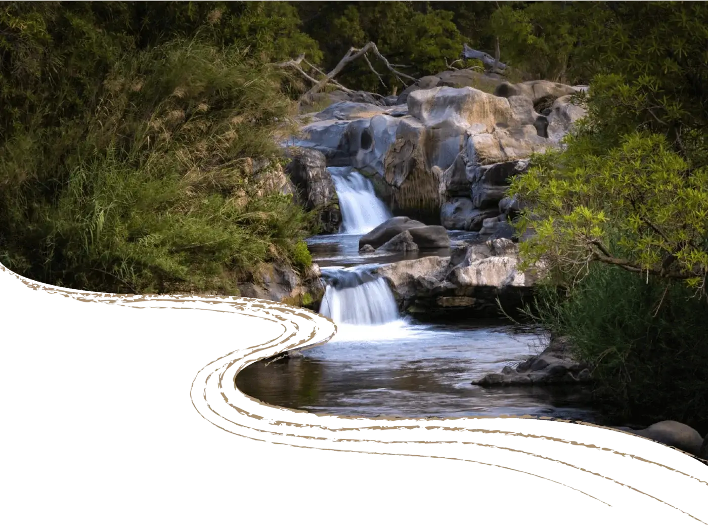 Wild Rivers website visual